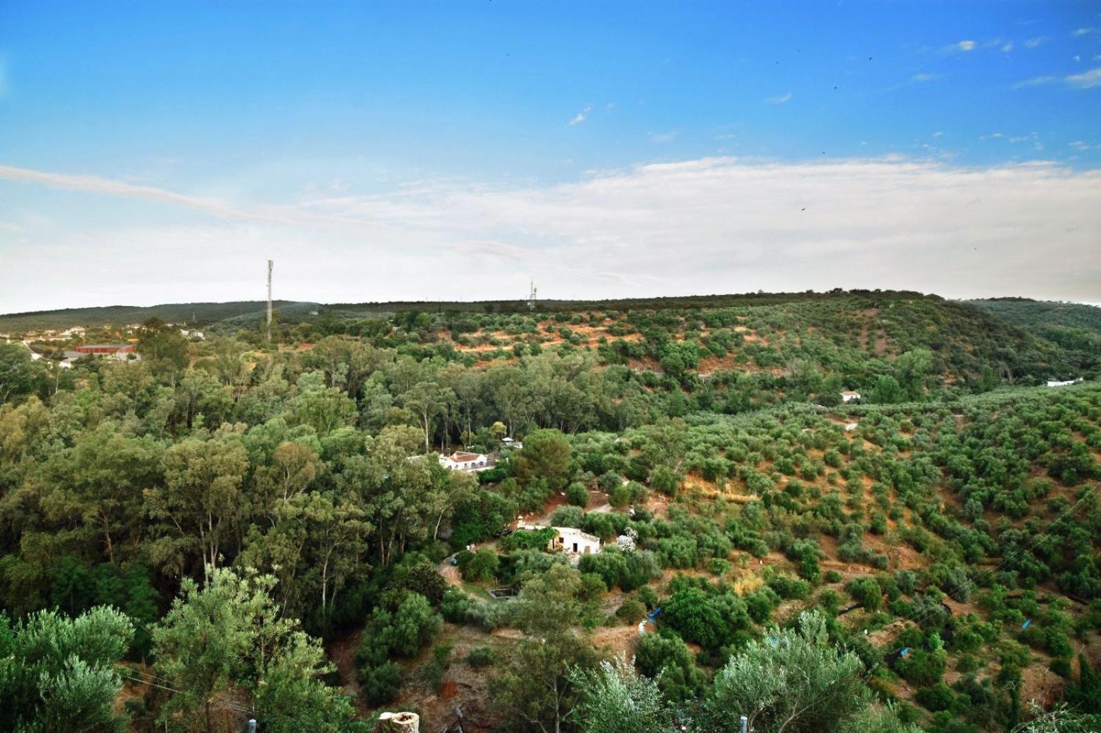 Casa Rural Mirasierra 오르나추엘로스 외부 사진